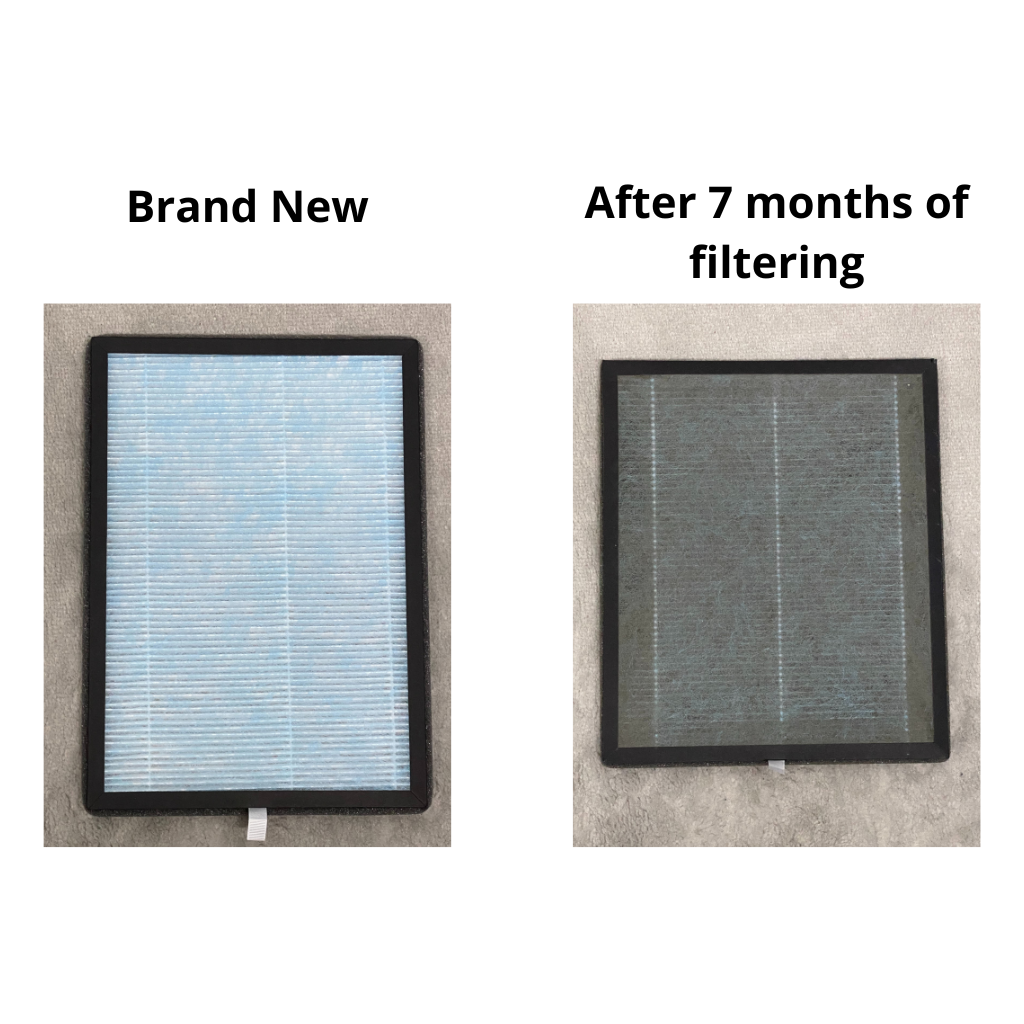 Nuovo Maestosa Air Purifier